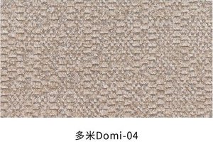 多米 色卡 2
