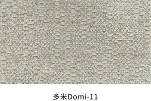多米 色卡 9