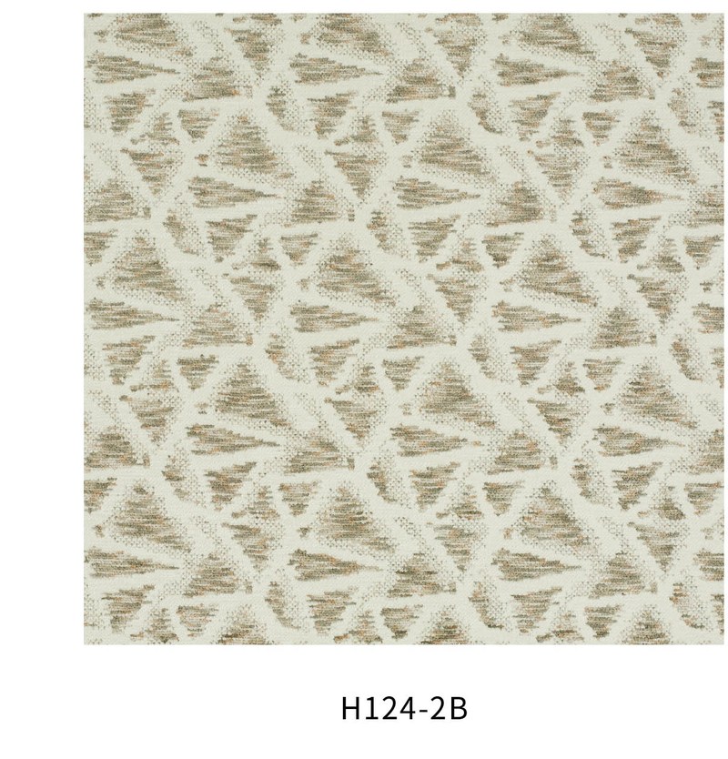 H124 色卡 5