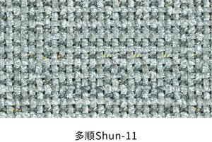 多顺 色卡 11